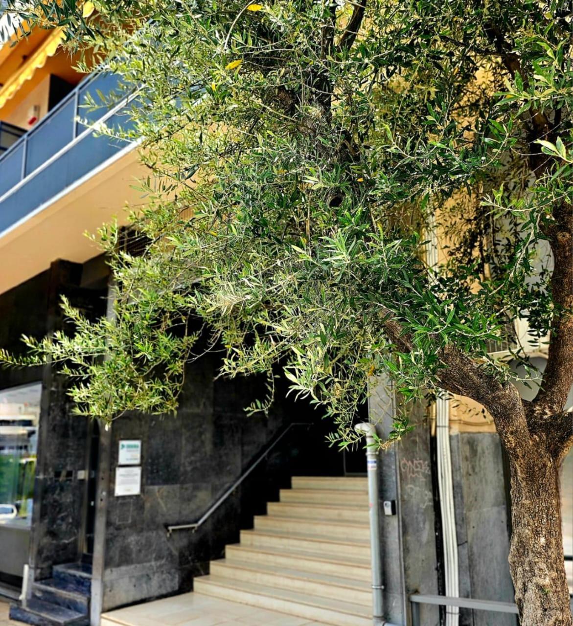 Diocharous Garden Apartment Athena Bagian luar foto