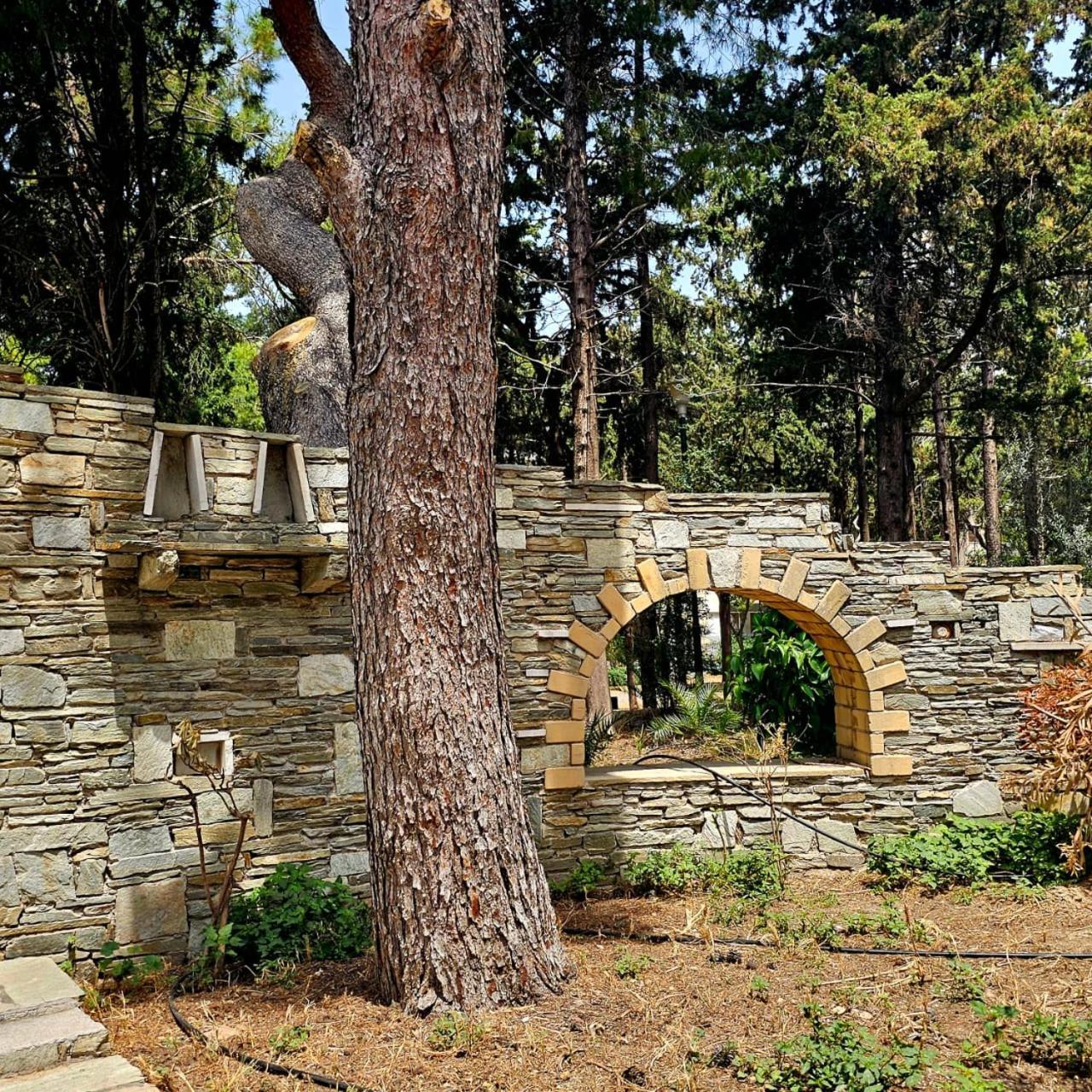 Diocharous Garden Apartment Athena Bagian luar foto
